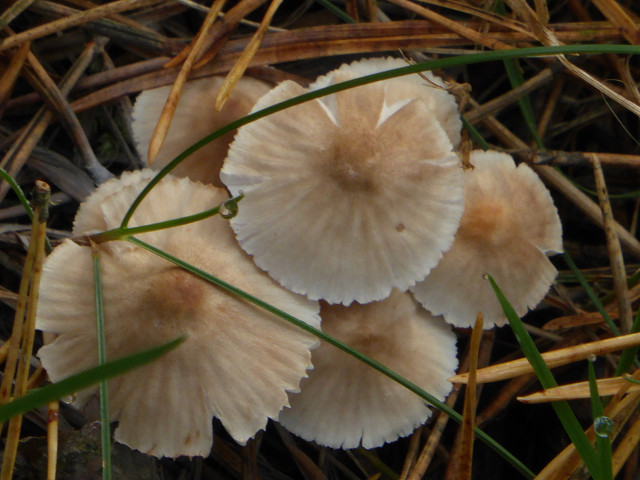 P1130648