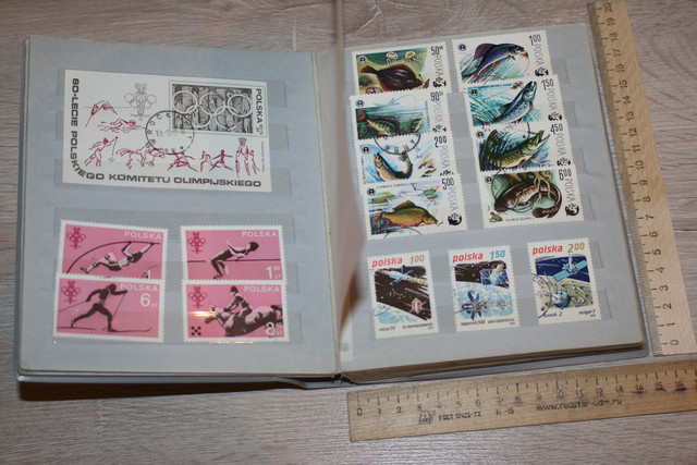 IMG-0666
