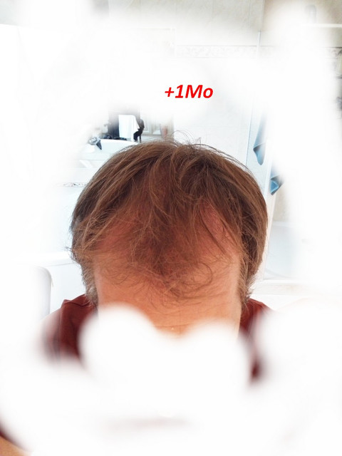 1Mo-2.jpg