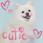 cutiedog.png
