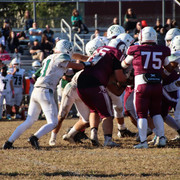 IMG-5528