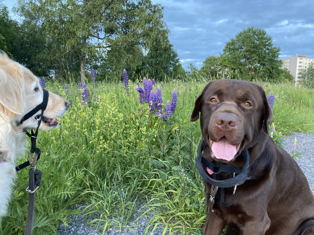 C3-FE9570-6748-4812-99-B0-28265-DEC9906.