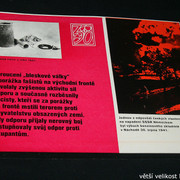 IMG-8619