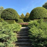 IMG-0578