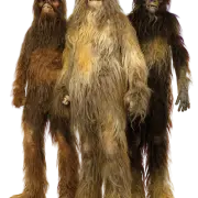 https://i.ibb.co/QK1n5cj/Wookiee-Trio-Mt-HChewbacca.webp