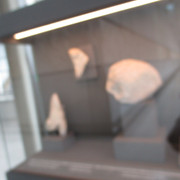 IMG-0274