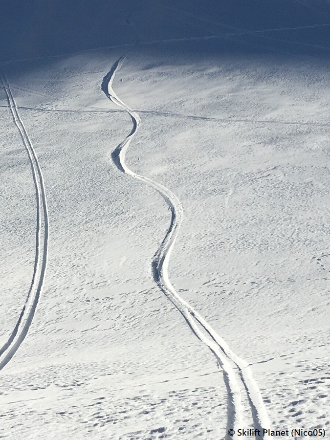 IMG-7667.jpg