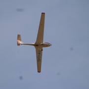 DSC00603