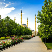 fullsize-2