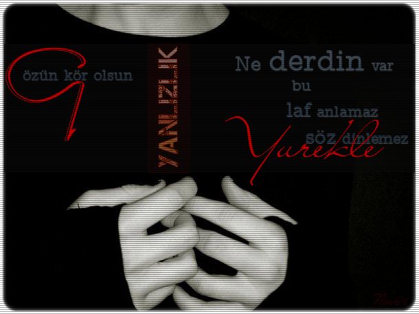 yanl-zl-k.png
