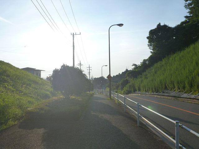 P1340746.jpg