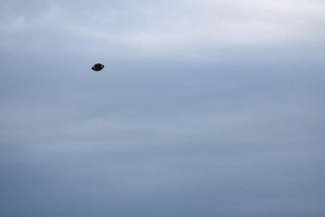 IMG-2154.jpg