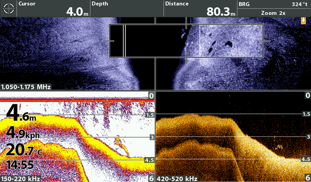 humminbird3