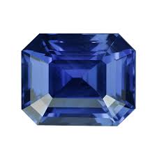 User's profile picture.