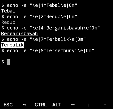Tutorial Termux - Warna dan Format Teks