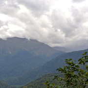 DSC-6947