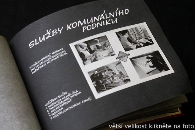 IMG-7590.jpg