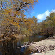 DSC04213