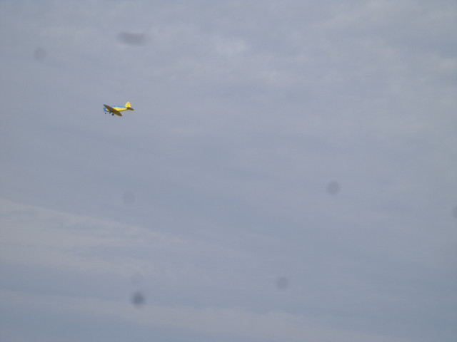 DSC00647.jpg