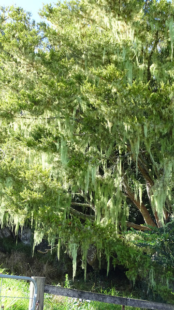DSC05224