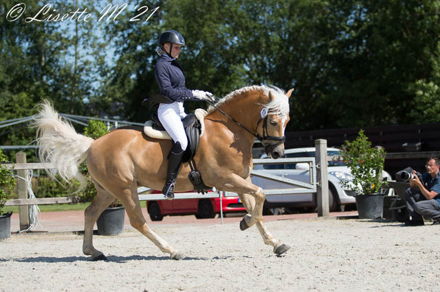 Bestgaand-49