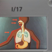 IMG-1205