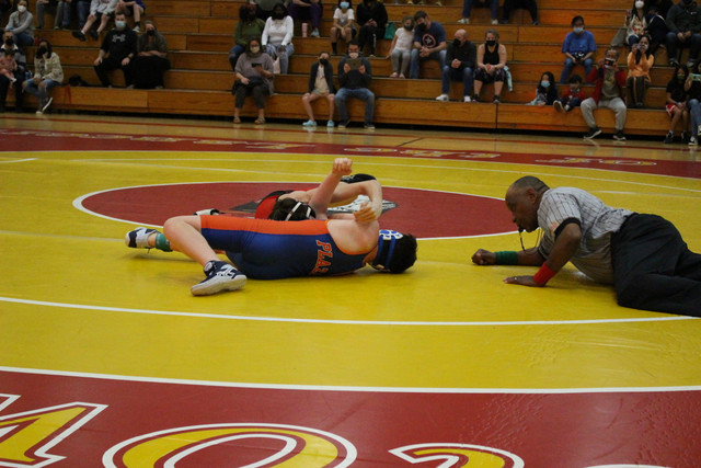 IMG-0205