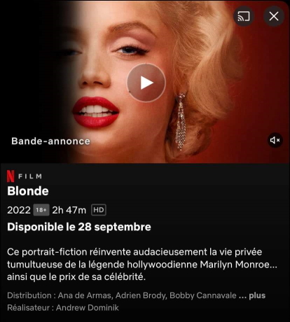 https://i.ibb.co/QMc9jc0/NETFLIX.jpg
