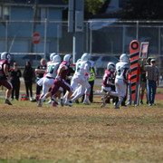 IMG-8426