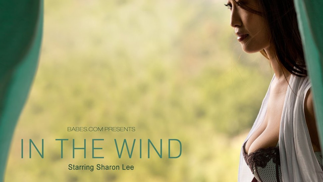 babes0642 In The Wind