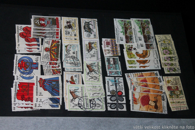 IMG-7028.jpg
