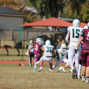 IMG-8147
