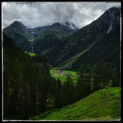 comp-IMG-9435