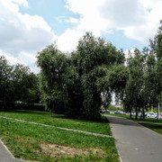 i-8
