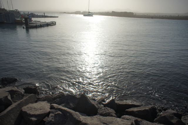 DSC01060.jpg