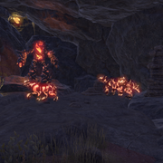 Screenshot-20210206-213931