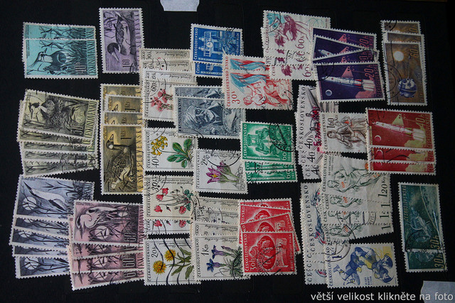 IMG-2027.jpg