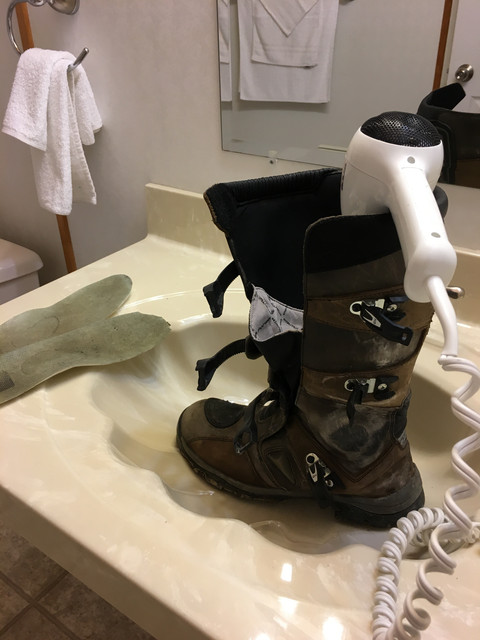 IMG 3537