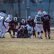 IMG-4820