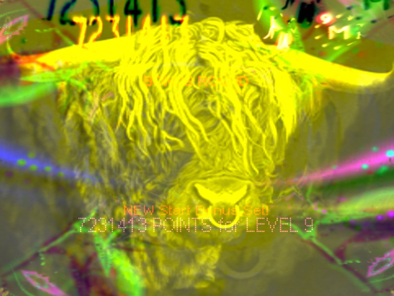nkdsd0111.png