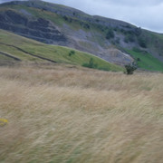 DSCF9144