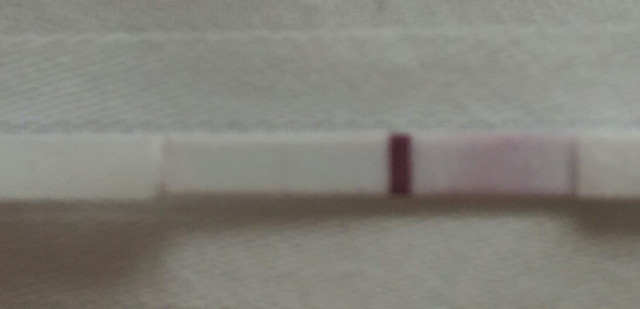 IMAG0497 1