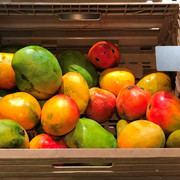 IMG-4112-1