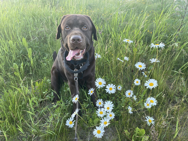 15-C97-E5-A-9-A05-444-A-B41-B-CDE6866-B2