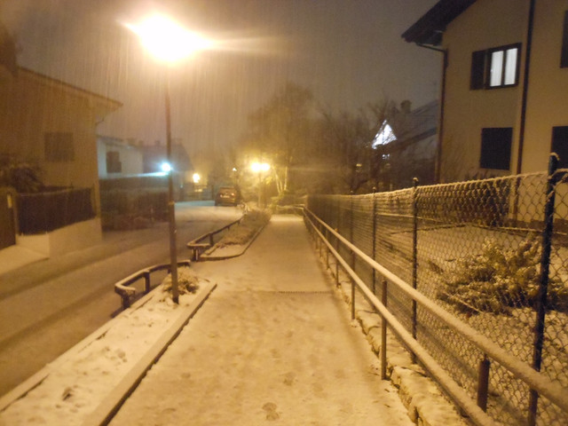 DSCN4800