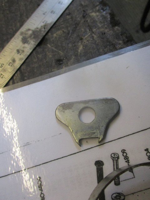 IMG-0294.jpg