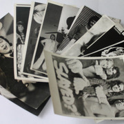 IMG-8595