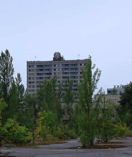 IMG-6013a.jpg
