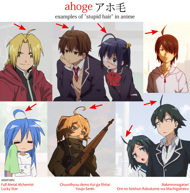 ahoge-examples