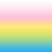 Pansexual